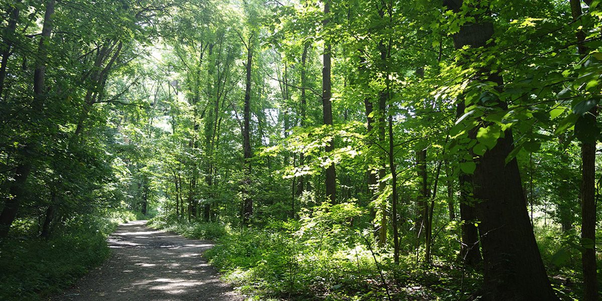 Trail project supported by the Erie County Department of Planning and Community Development
